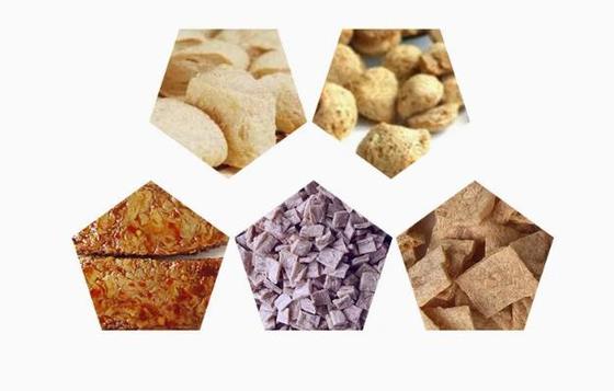 Línea de proteína de soja versión en inglés / Máquina para hacer trozos de soja Formato AutoCAD