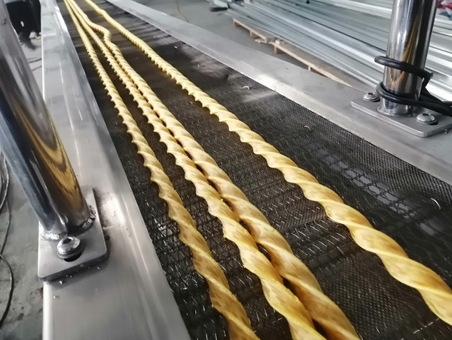 último caso de la compañía sobre Última tecnología para línea de extrusión de golosinas retorcidas para mascotas de 4 piezas