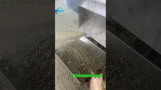 Prueba de la máquina extrusora de pellets de alimento flotante para peces de 200 kg/h antes de empacar #fishfeedmachine