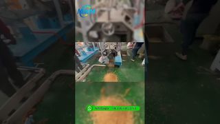 Prueba de máquina de alimentación flotante para peces de doble tornillo de 500-800 kg/h para clientes de Camerún