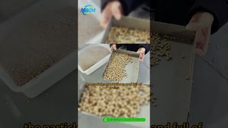 Línea de producción de pellets de alimento para peces DGP-85 | Introducción y demostración del proceso completo#fishfeedproductionline