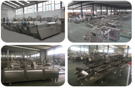 WEG / Siemens Motor Pet Treat Machine con varios componentes añadidos