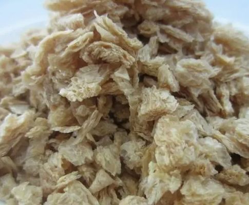 Línea de procesamiento de máquina extrusora de soya texturizada aprobada por la CE con 150 kg/h