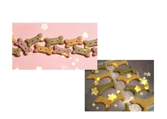 Máquina coloreada de la preparación de galletas del perro del acero inoxidable del dr -280 con funcionamiento estable