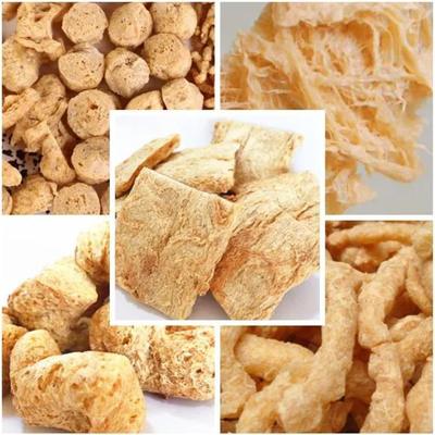 Máquina Extrusora de Trozos de Soja Vegetal TVP TSP 110kw Certificado CE