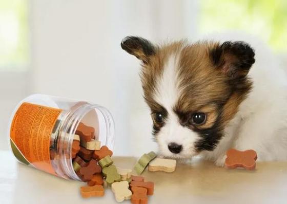 Protuberancia fría de acero inoxidable de la lecitina del perro del animal doméstico de la máquina suave de la invitación que hace la máquina