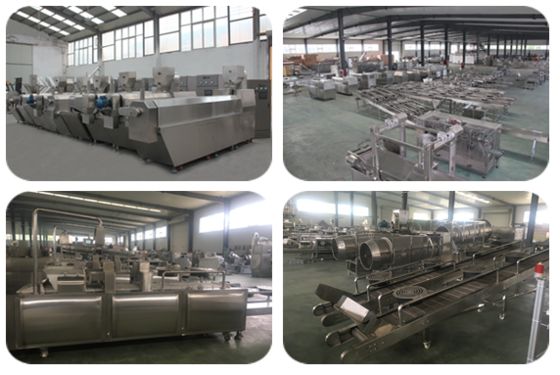 Cadena de producción desigual de acero inoxidable de alimento para animales 300-500kg/Hr