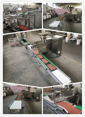 Cadena de producción de alimento para animales del acero inoxidable tira de la carne que forma con el sistema auto de la bandeja
